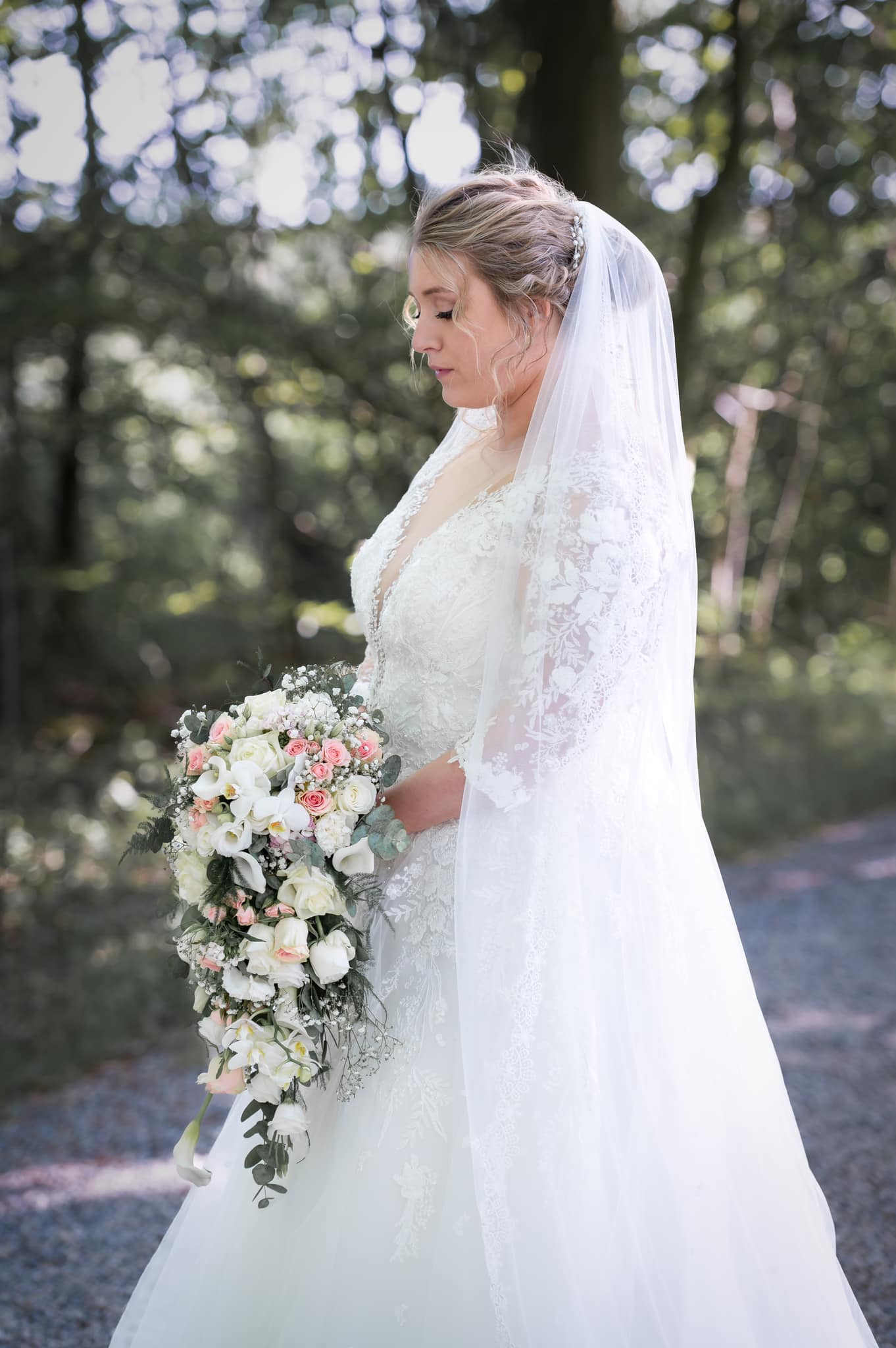 361972744 710623607741891 4364544120705133213 N